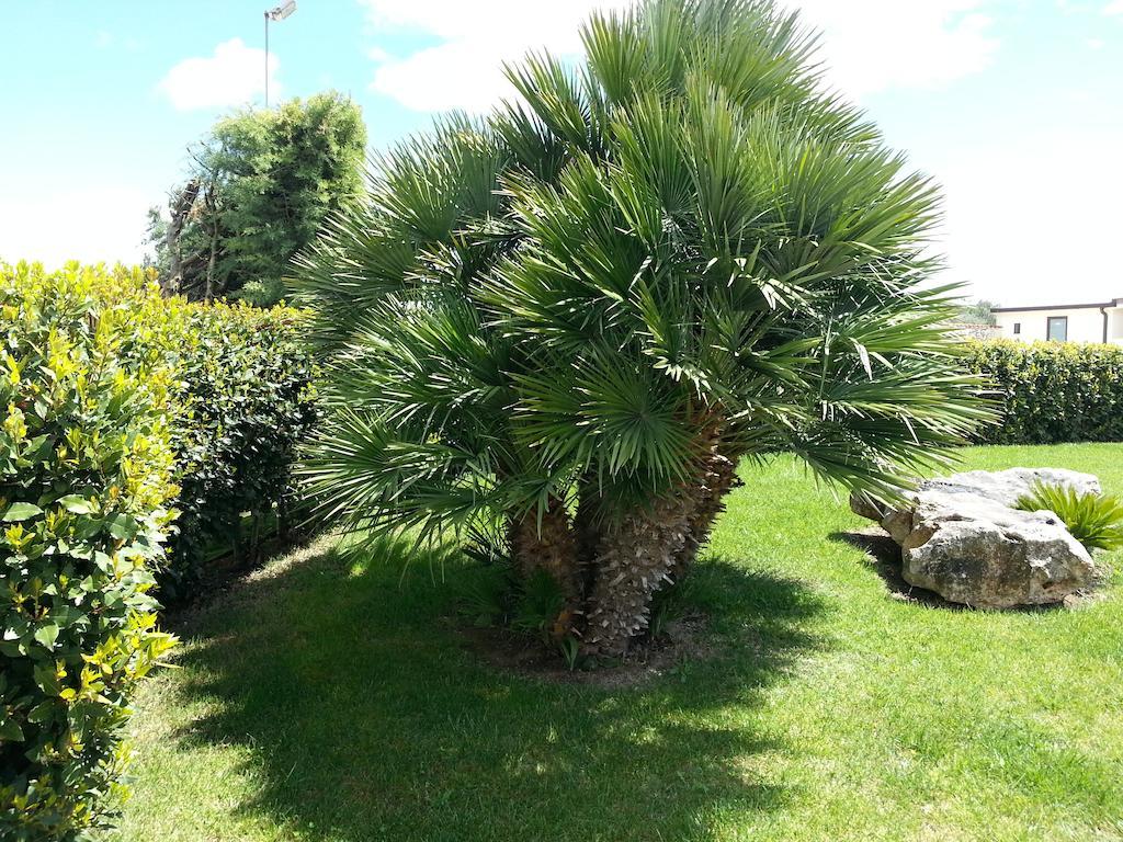 Villa Genny Altamura Buitenkant foto